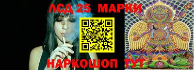 сатива Моздок