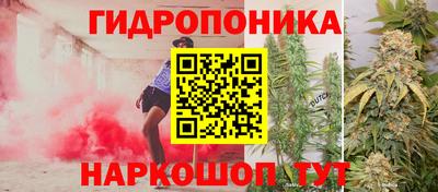 Альфа ПВП Можга