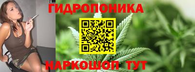 сатива Моздок