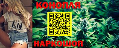 Альфа ПВП Можга
