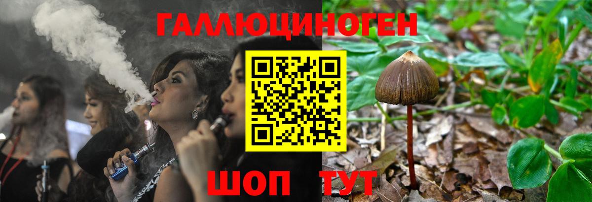 закладки  Вход с VPN  Псилоцибиновые грибы Psilocybe  Уссурийск  Галлюциногенные грибы Psilocybine cubensis 